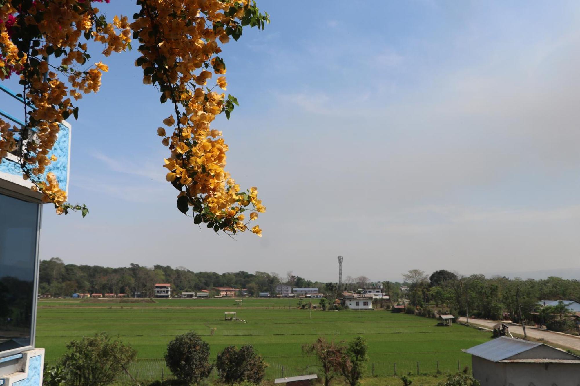 Hong Qi Hotel Chitwan Extérieur photo